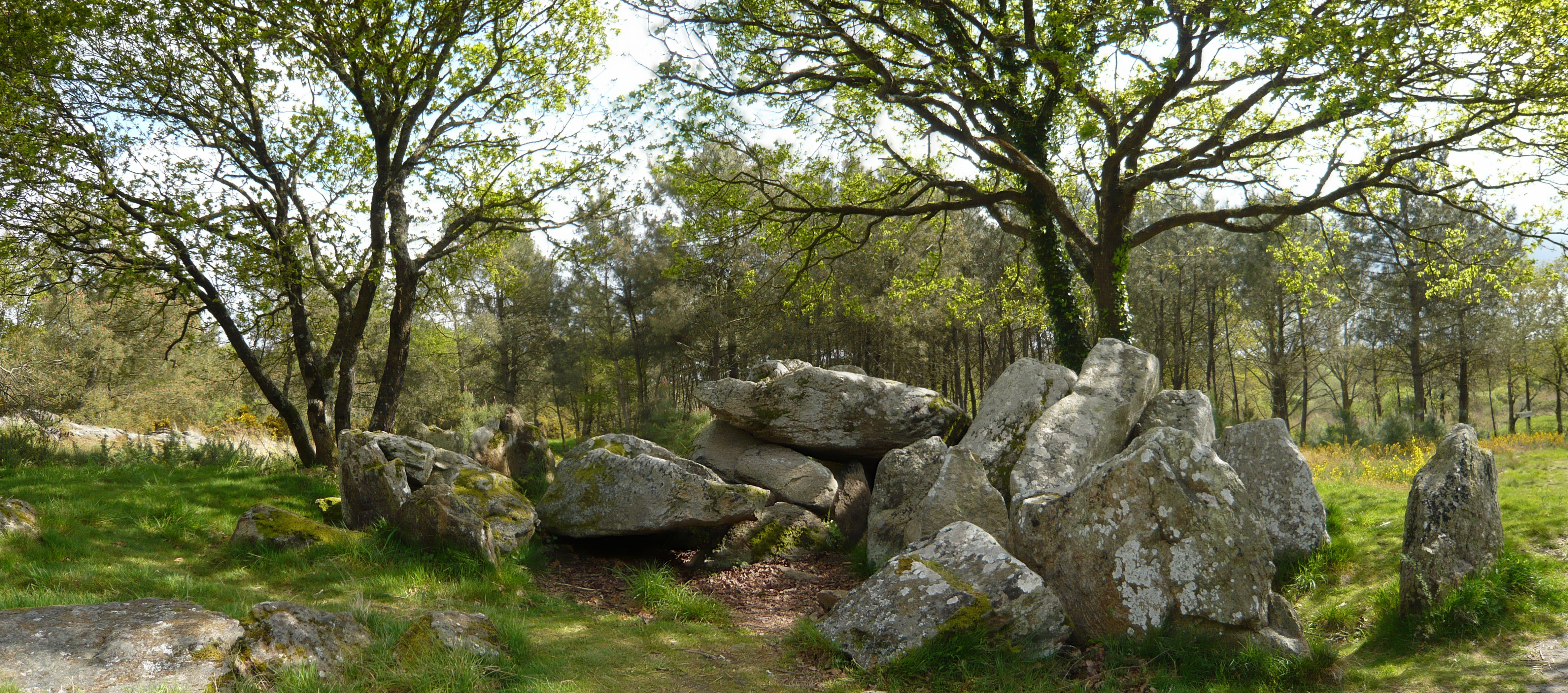Dolmen à transept du Riholo