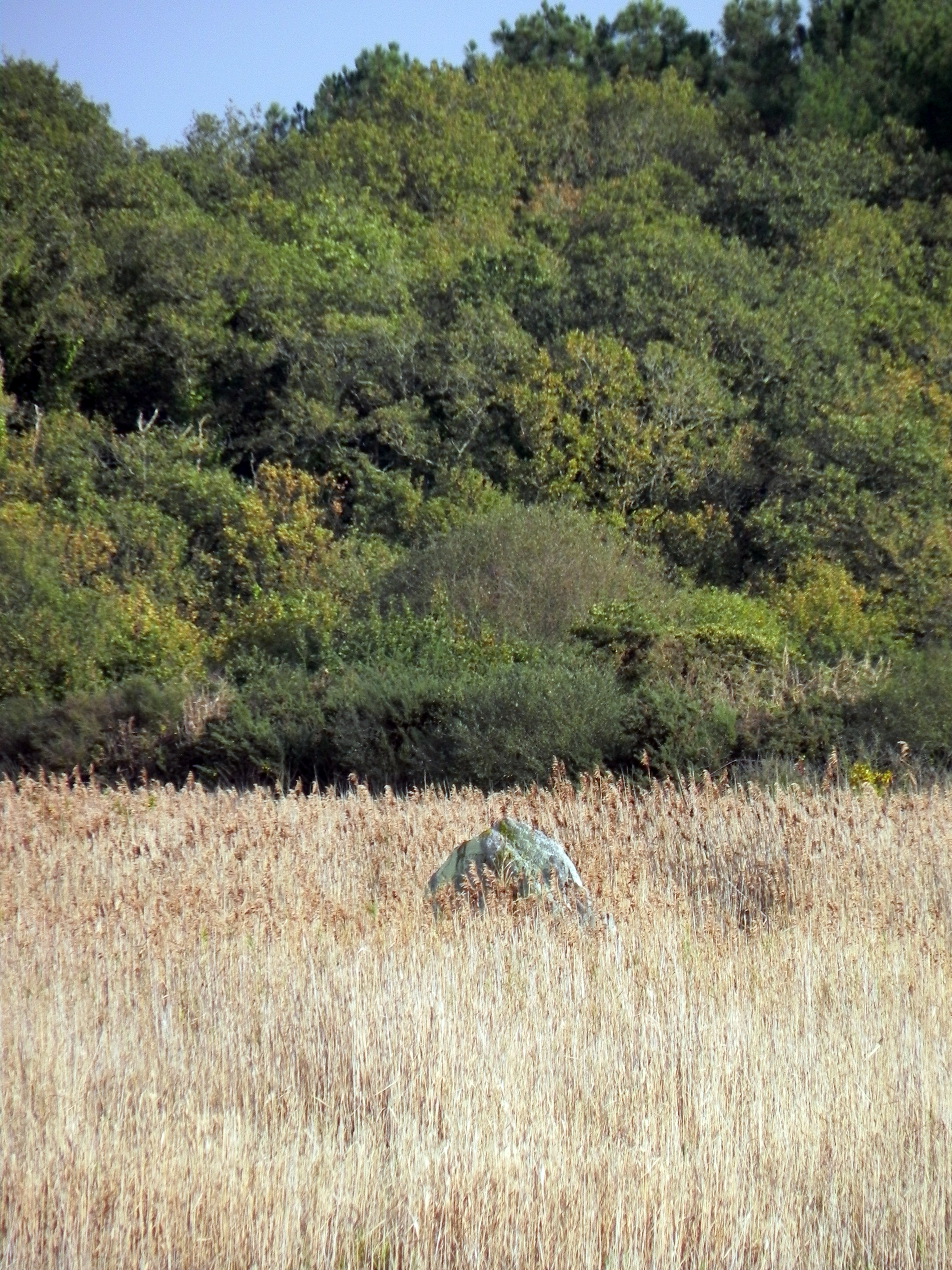 Menhir dit de Mézerac autrement dénommé Roche de Len