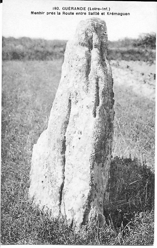 Menhir dit La pierre de Saillé