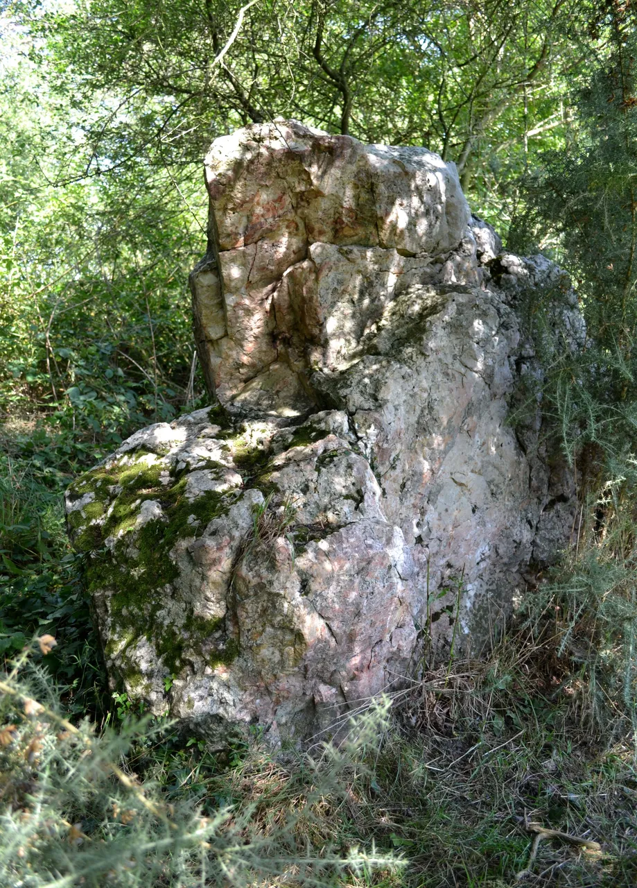 Menhir de Briangault de Sion-les-Mines