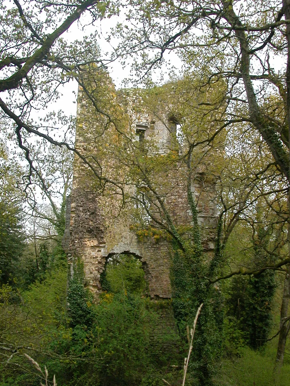 Château de Derval
