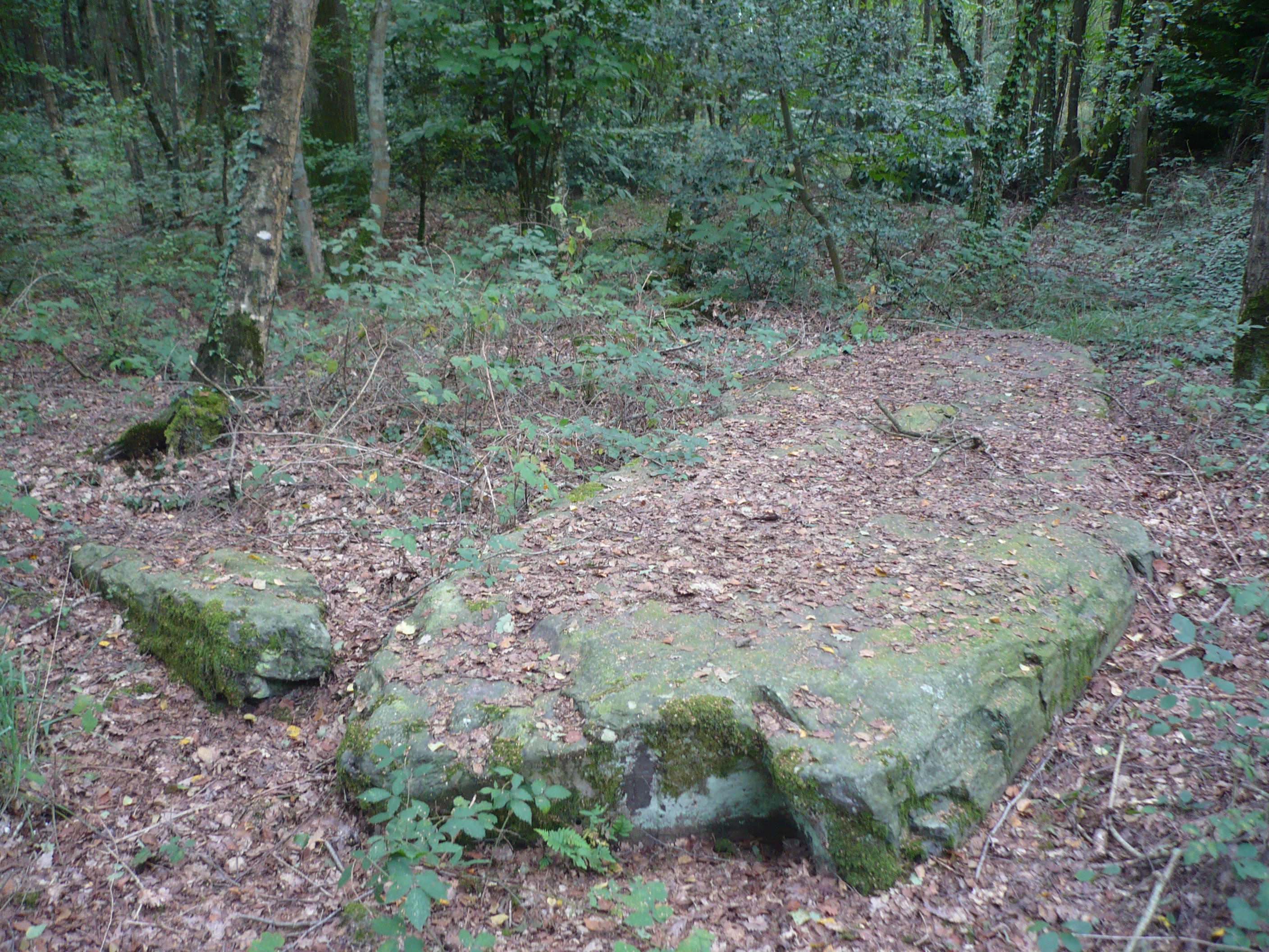 Monument mégalithique dénommée La Pierre de la Chopinière