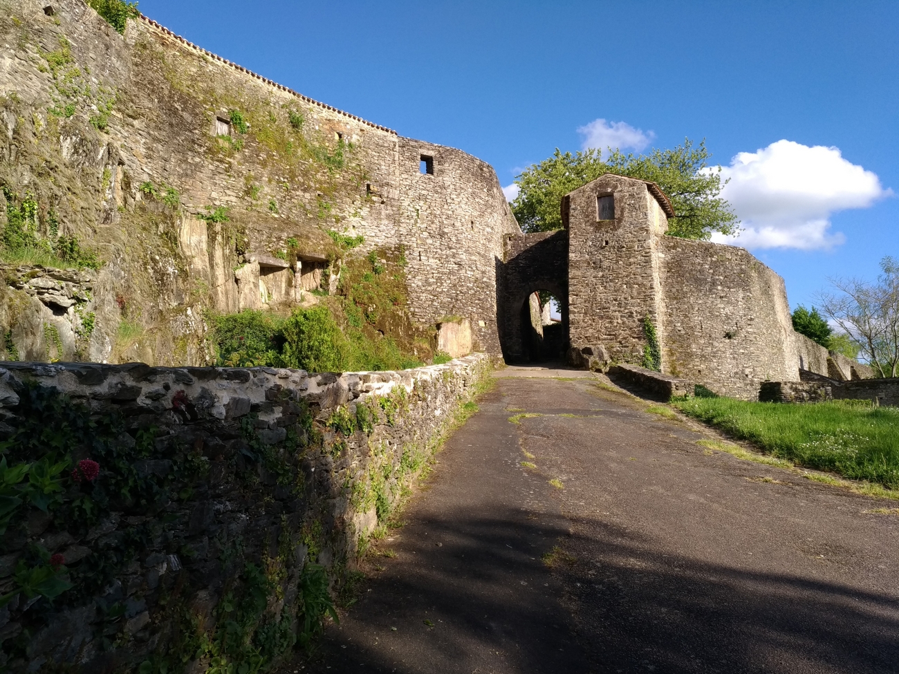 Enceinte fortifiée de Vouvant