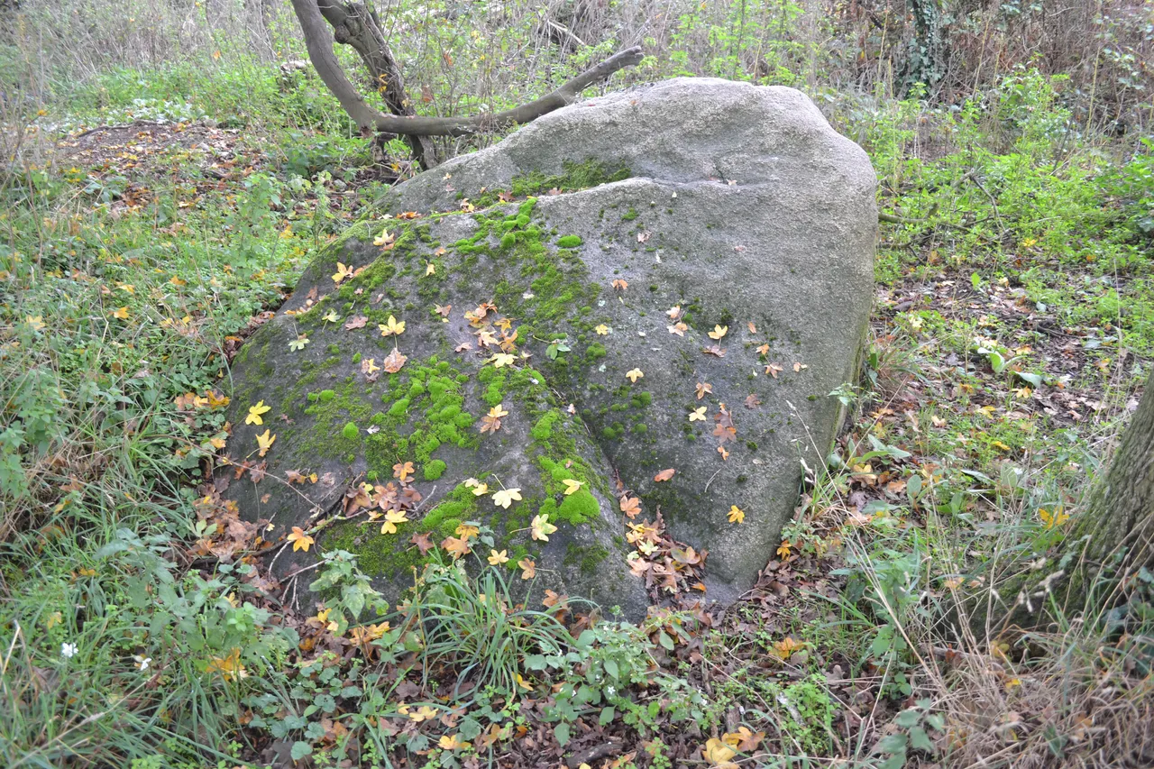 Menhir à cupules de Saint-André-des-Eaux