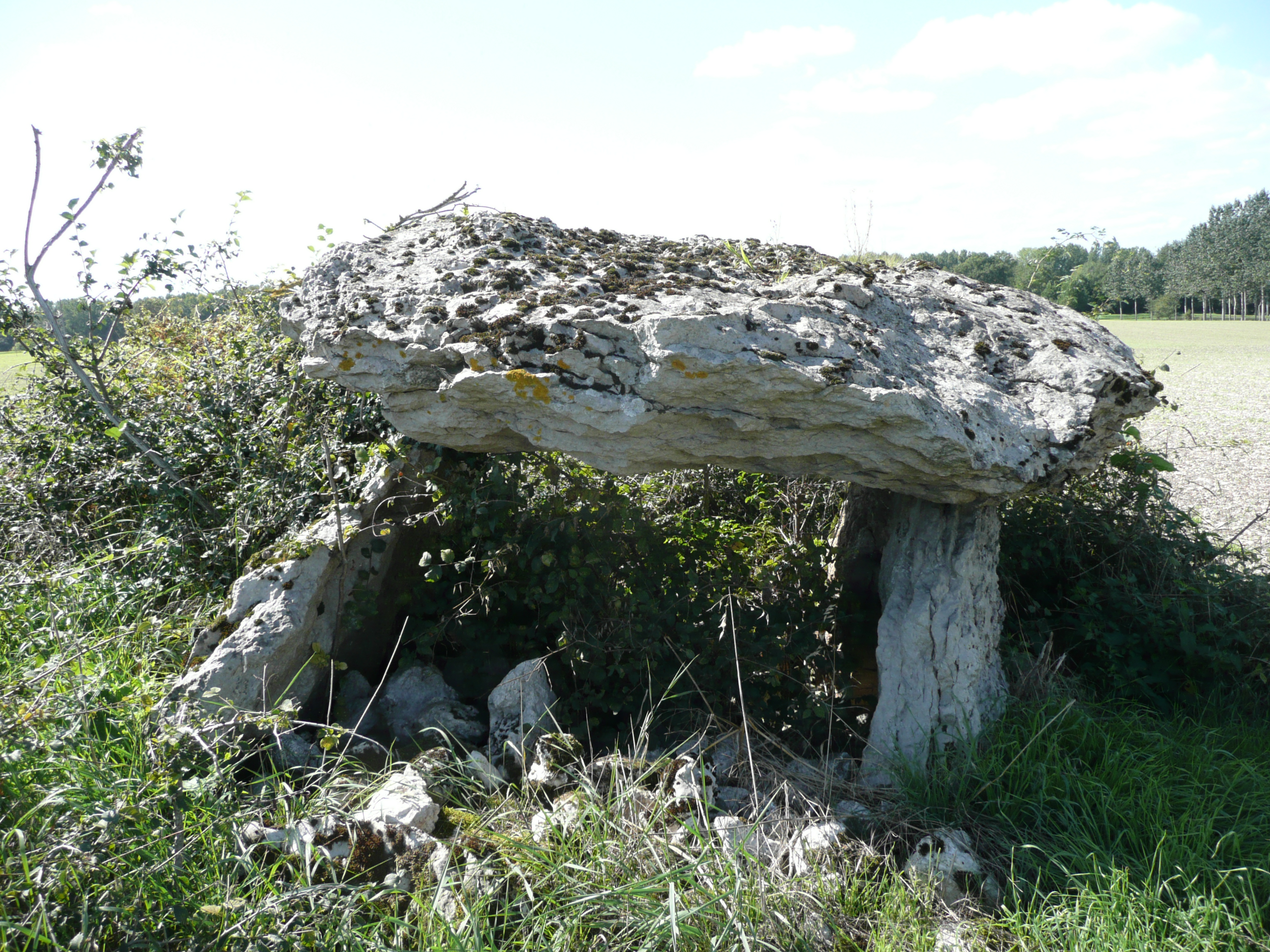 Dolmen dit Pierre couverte de la planche