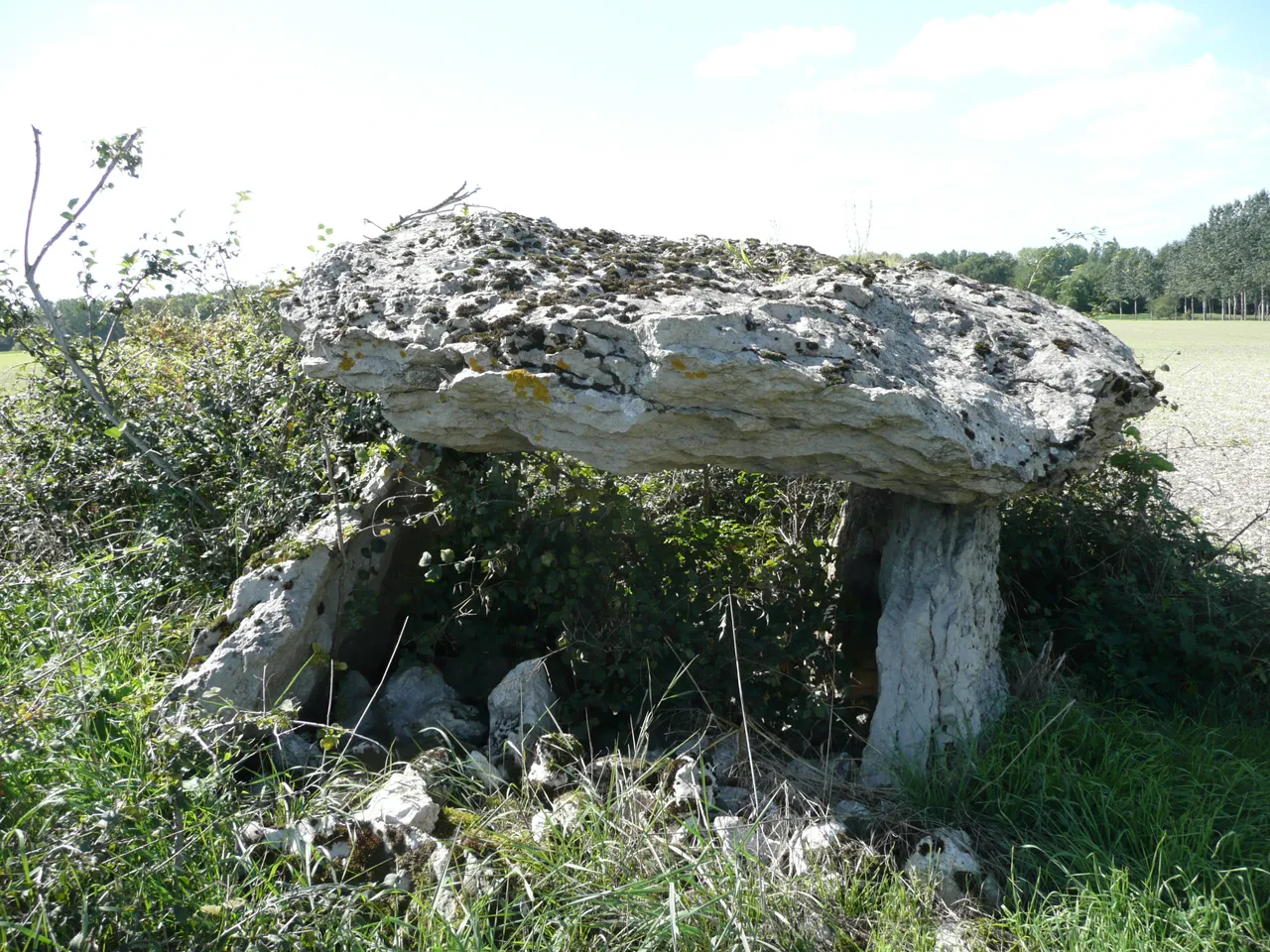 Dolmen dit Pierre couverte de la planche