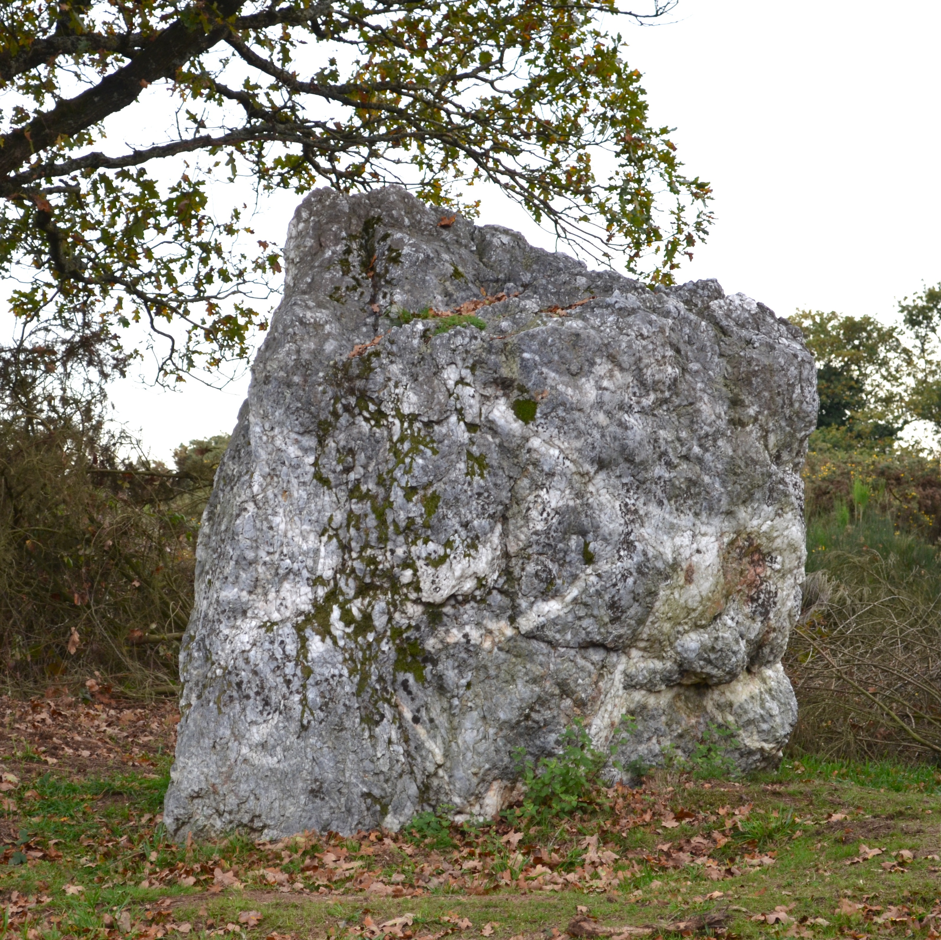 Menhir de Couëbrac de Nozay