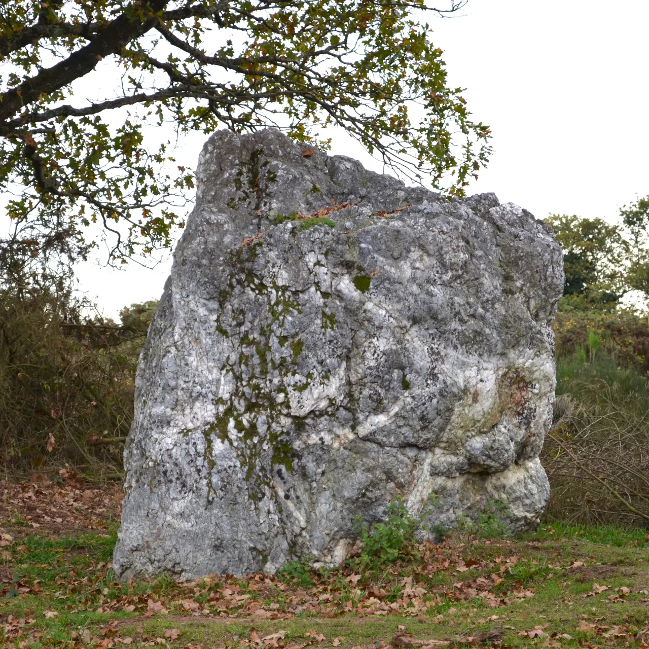 Menhir de Couëbrac de Nozay