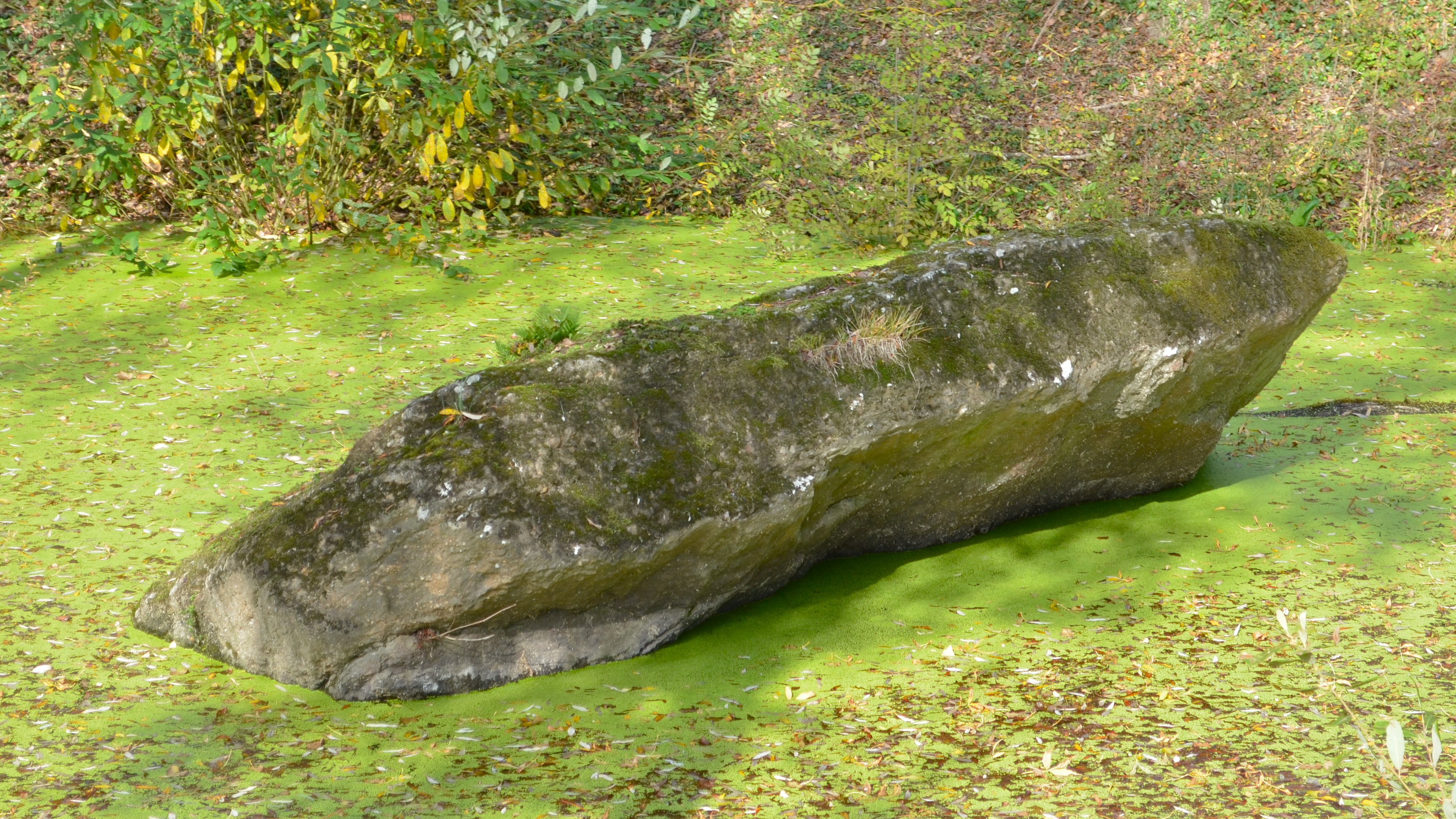 Dolmen dit de la Pierre Couvretière
