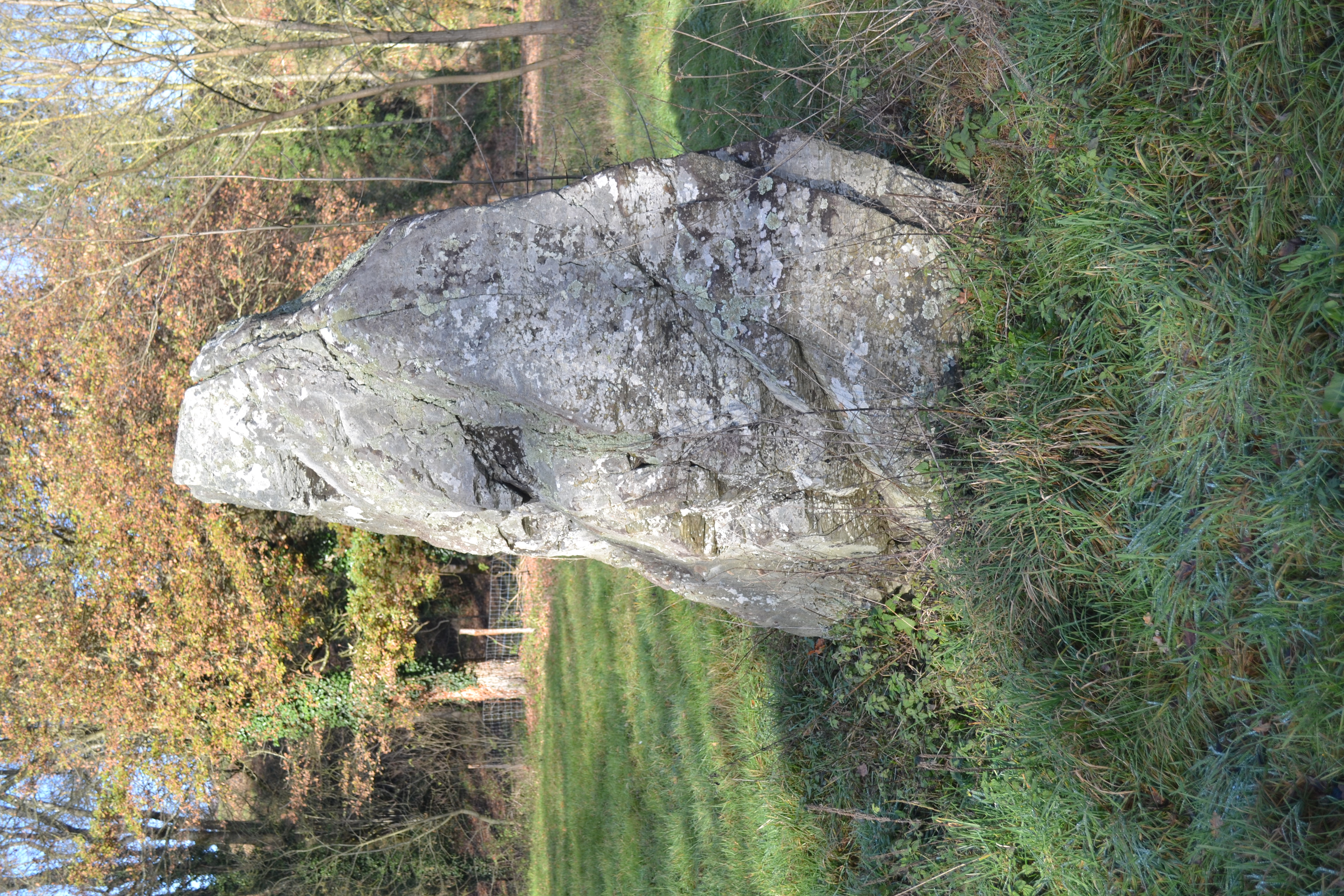 Menhir de Chauché