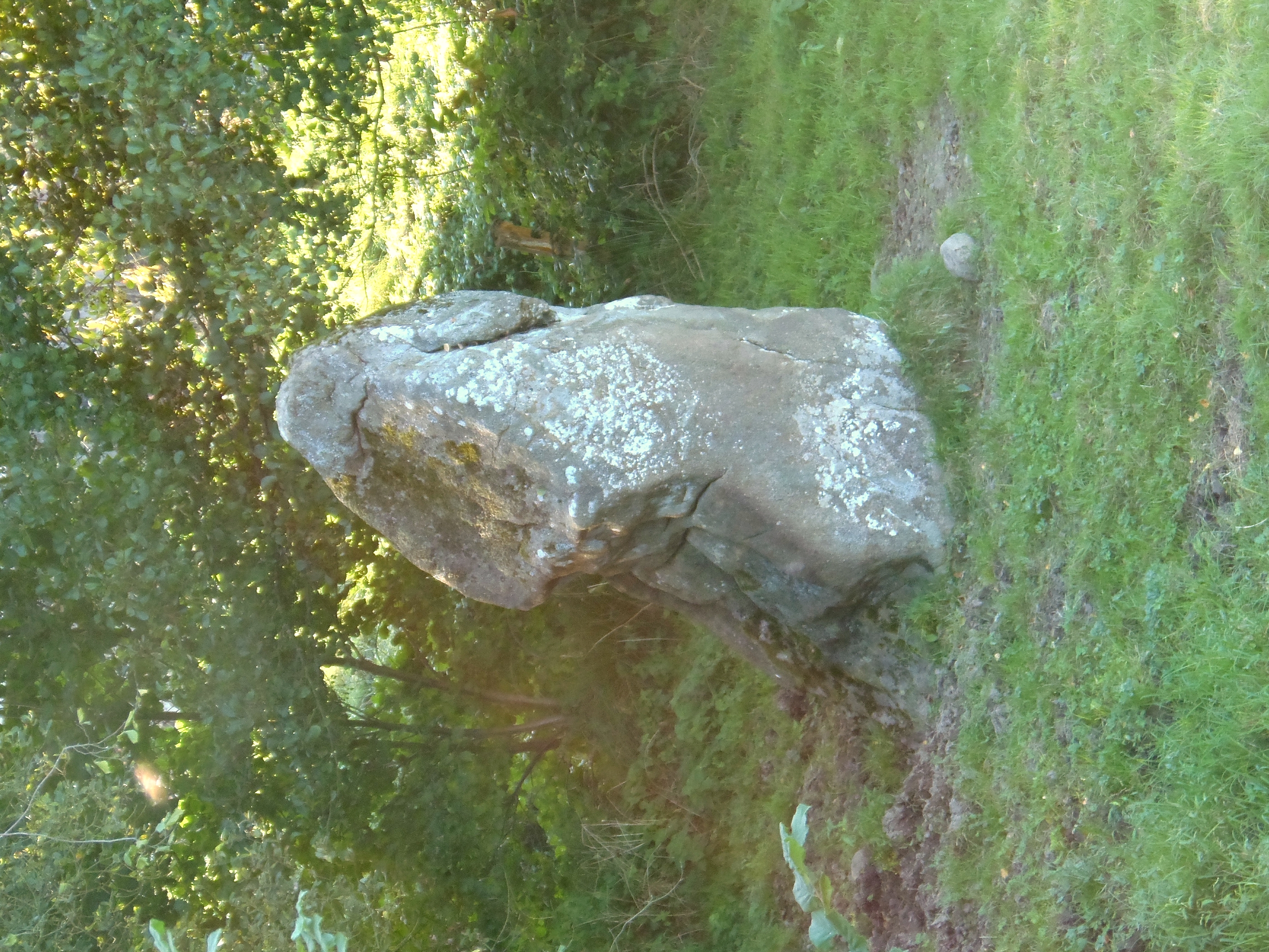 Menhir de la Broussardière