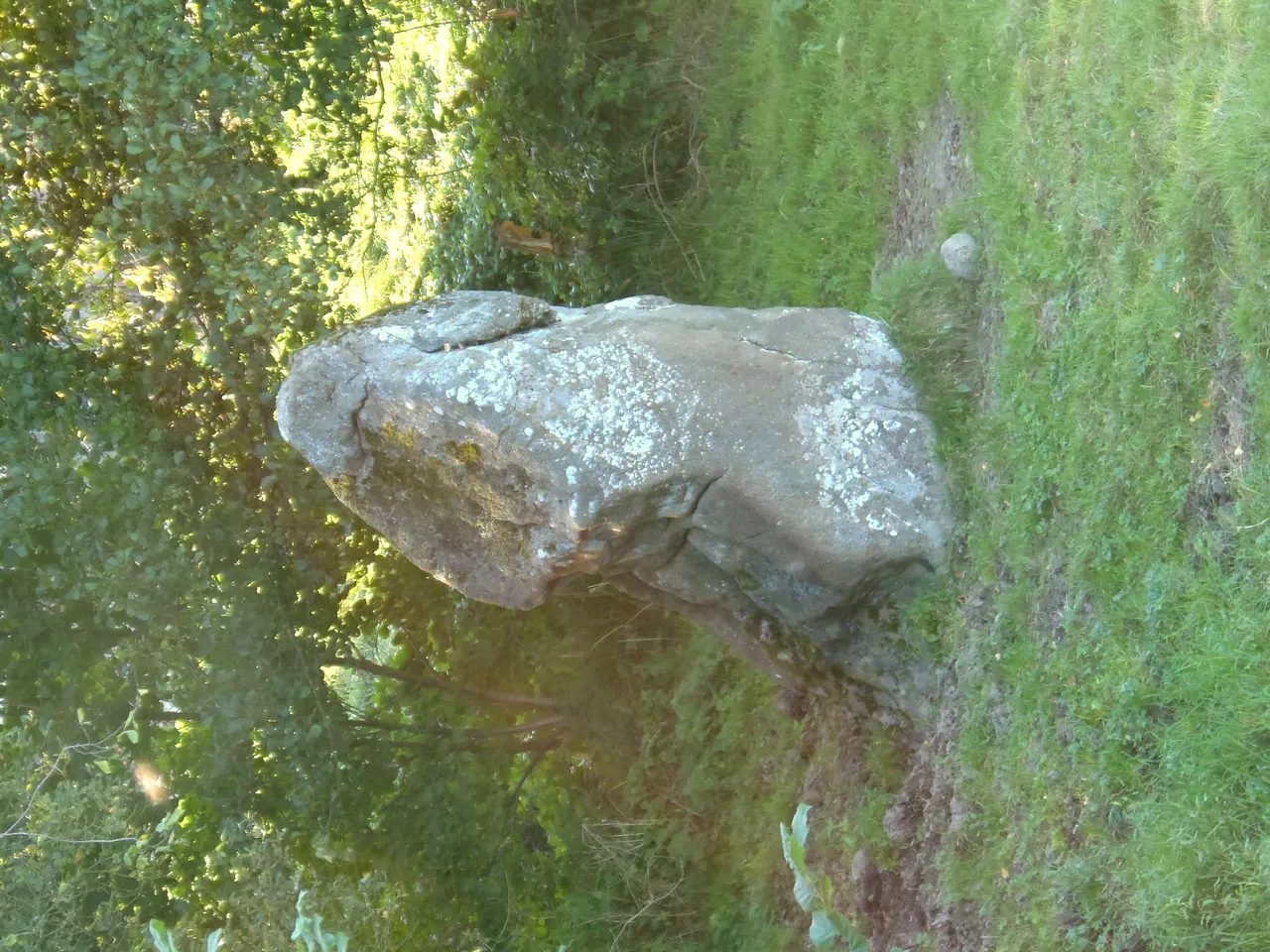 Menhir de la Broussardière