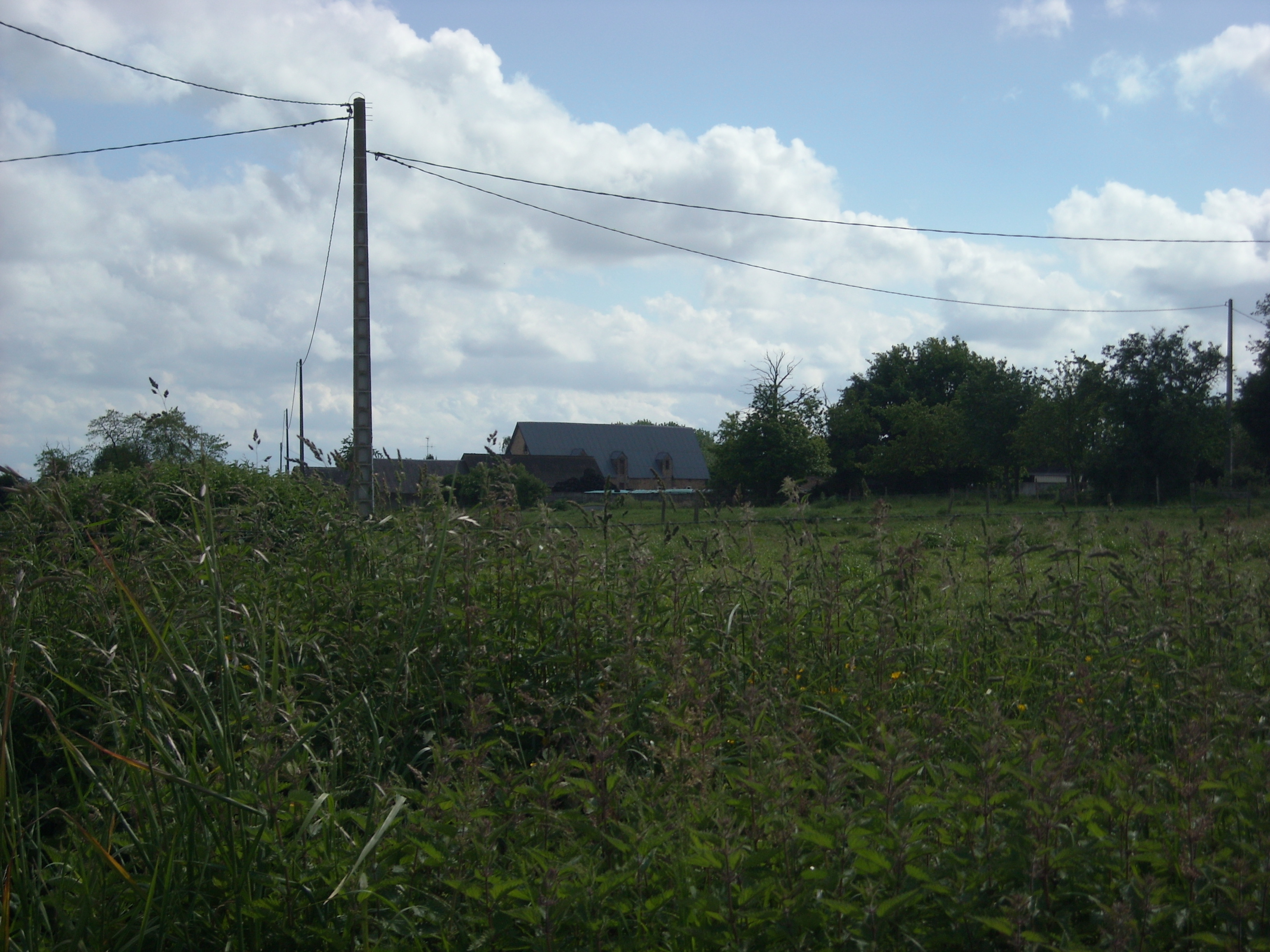 Grange seigneuriale à grains de Chéripeau