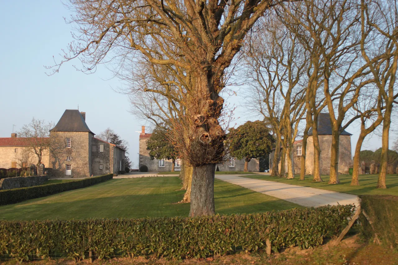 Manoir de la Roche-Thévenin