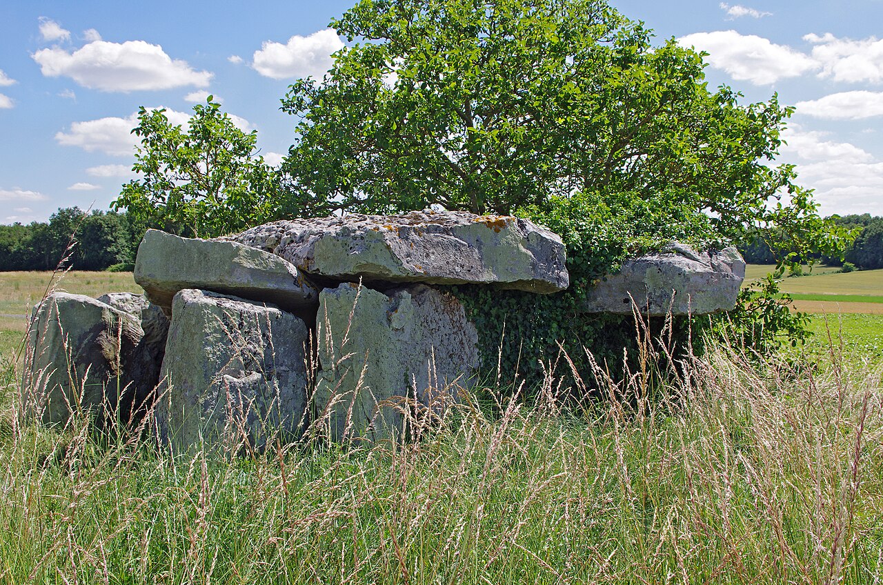 Dolmen dit Dolmen de la Forêt
