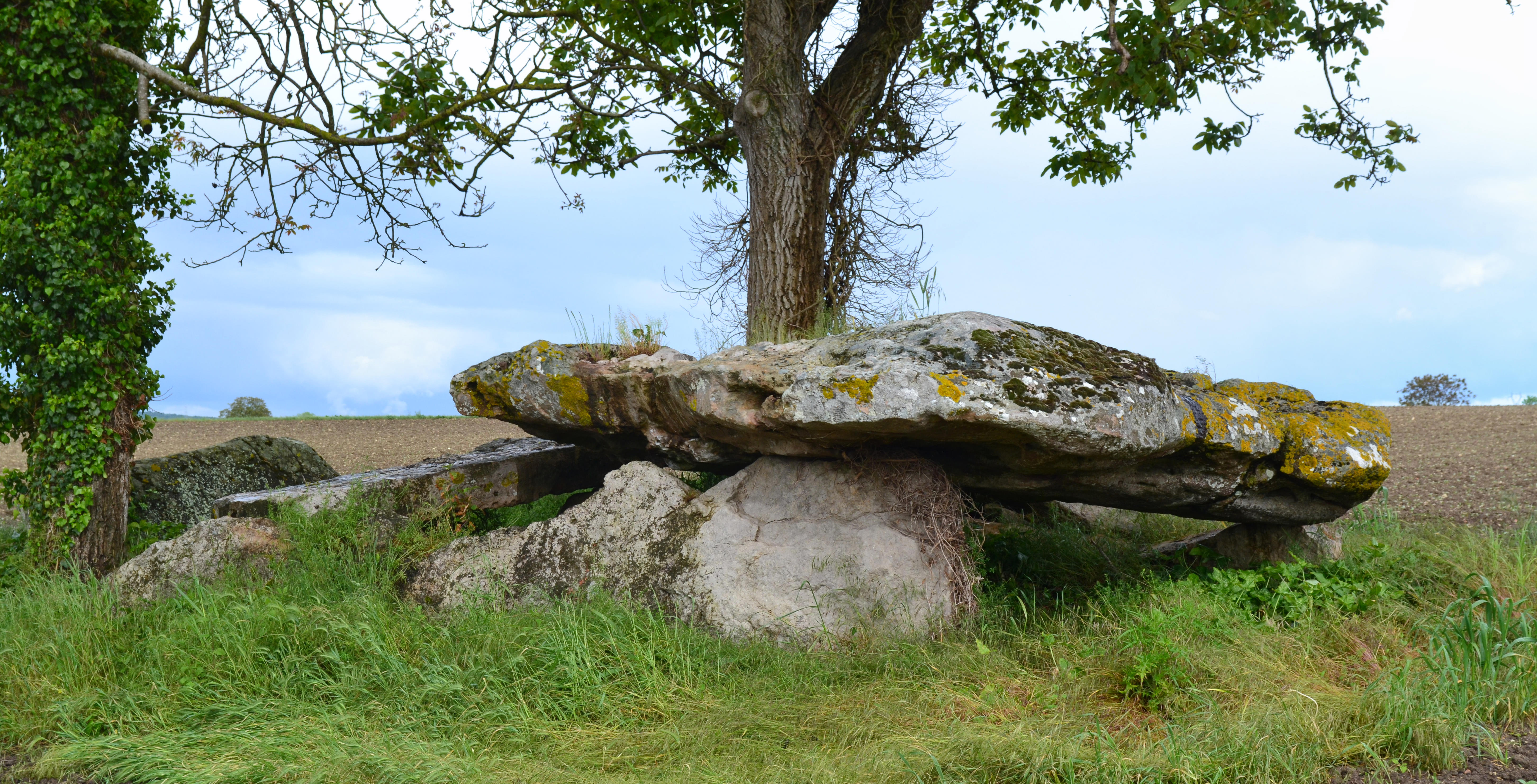Dolmen dit La Pierre couverte de Mousseau