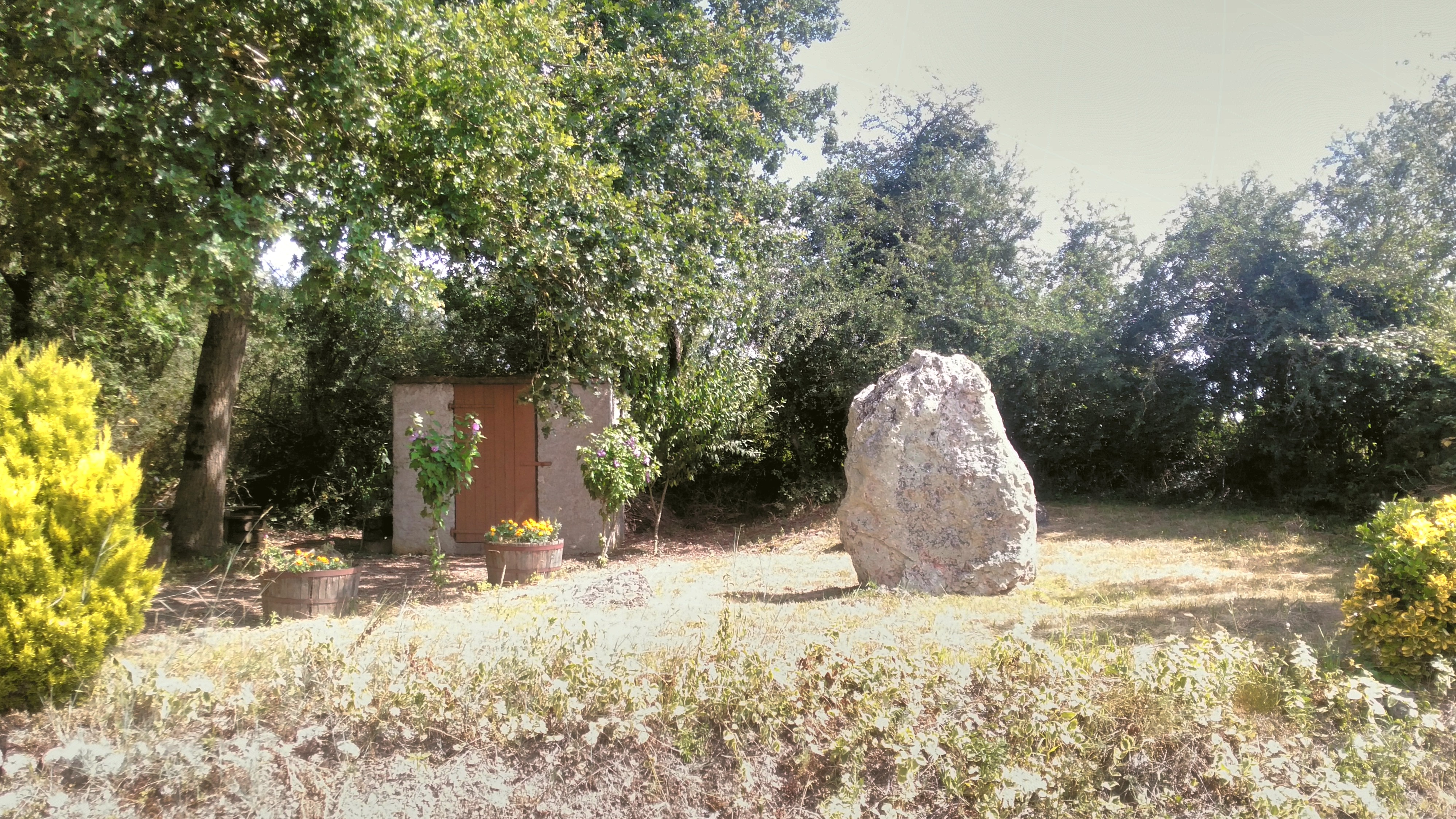 Menhir dit de la Pierre Levée