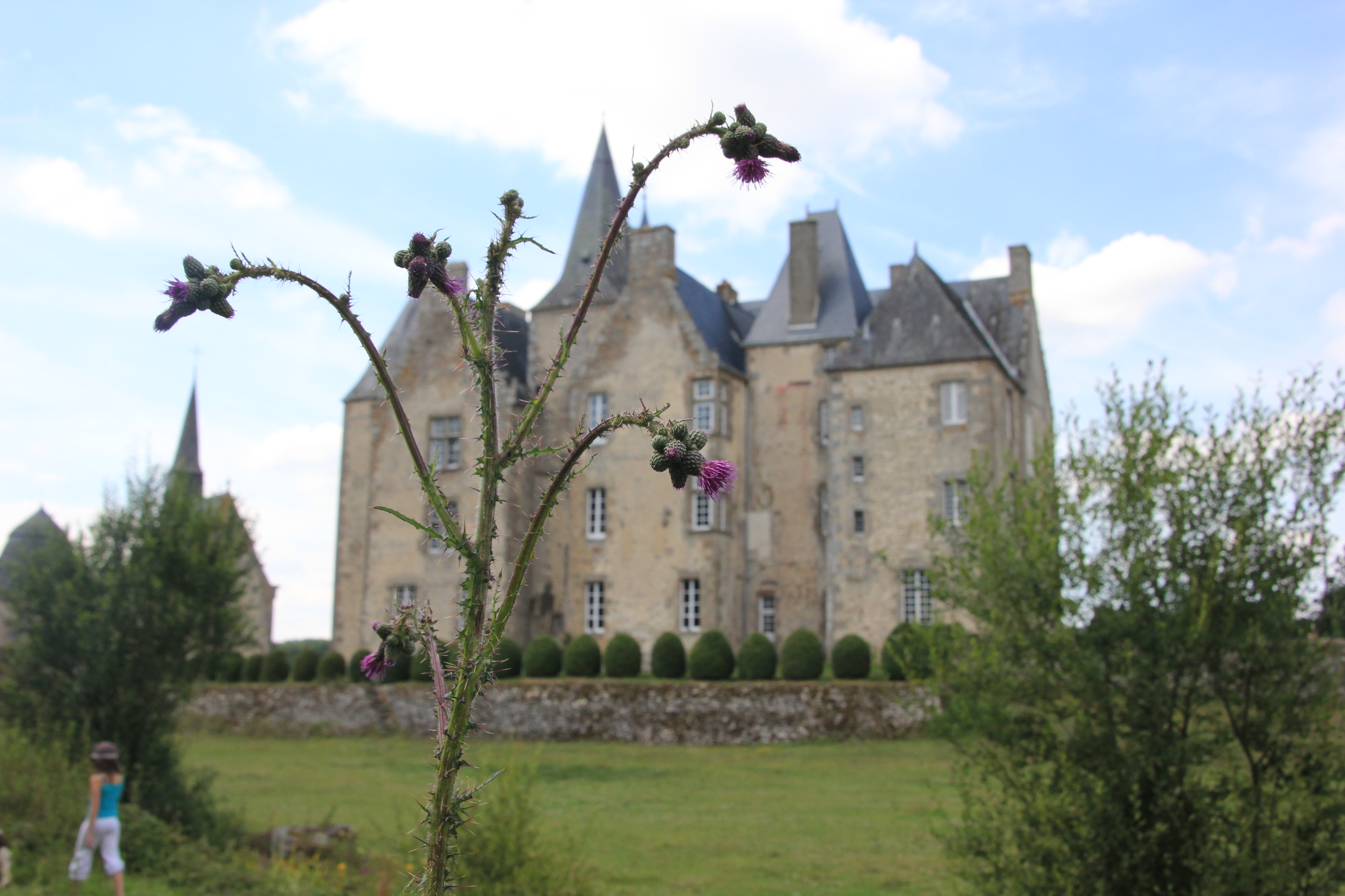 Château de Bourgon de Montourtier