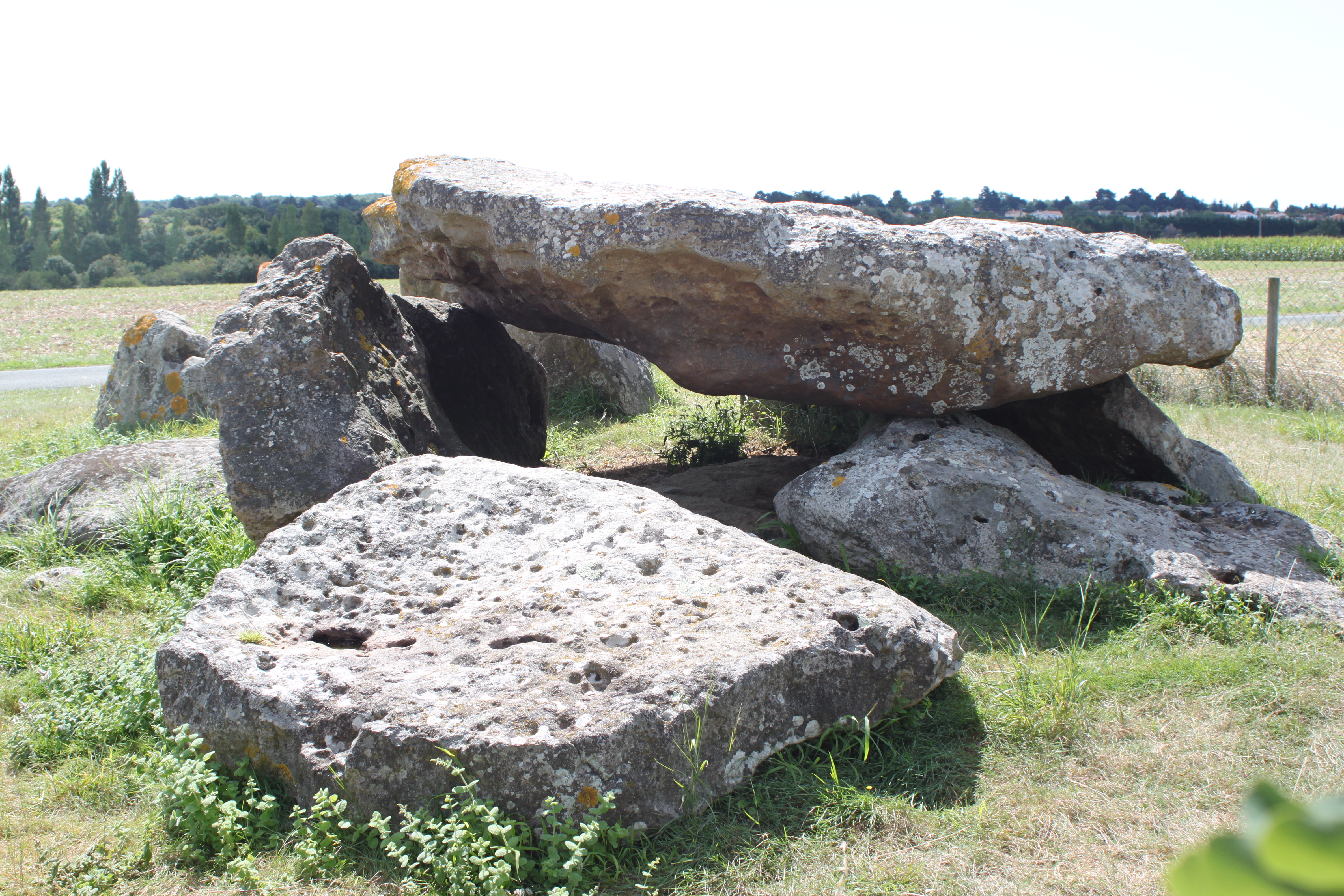 Dolmen du Grand-Bouillac