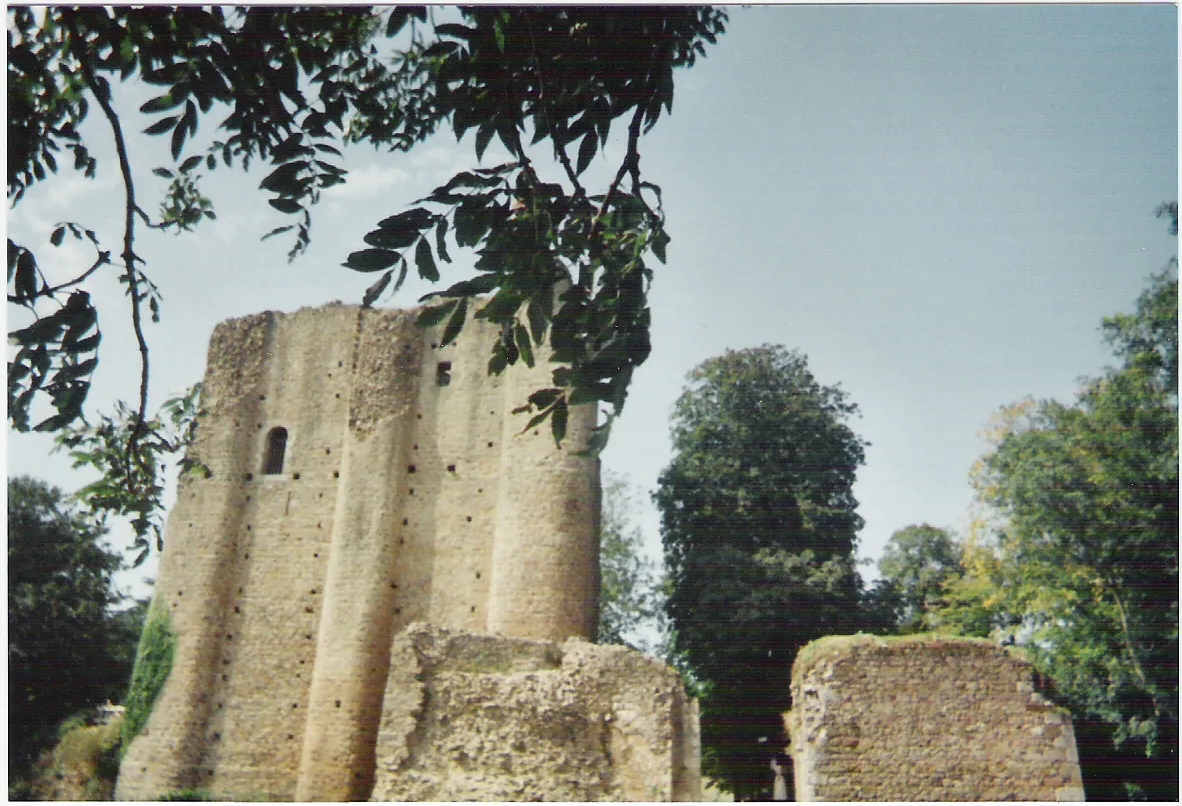 Château (ruines) de Pouzauges