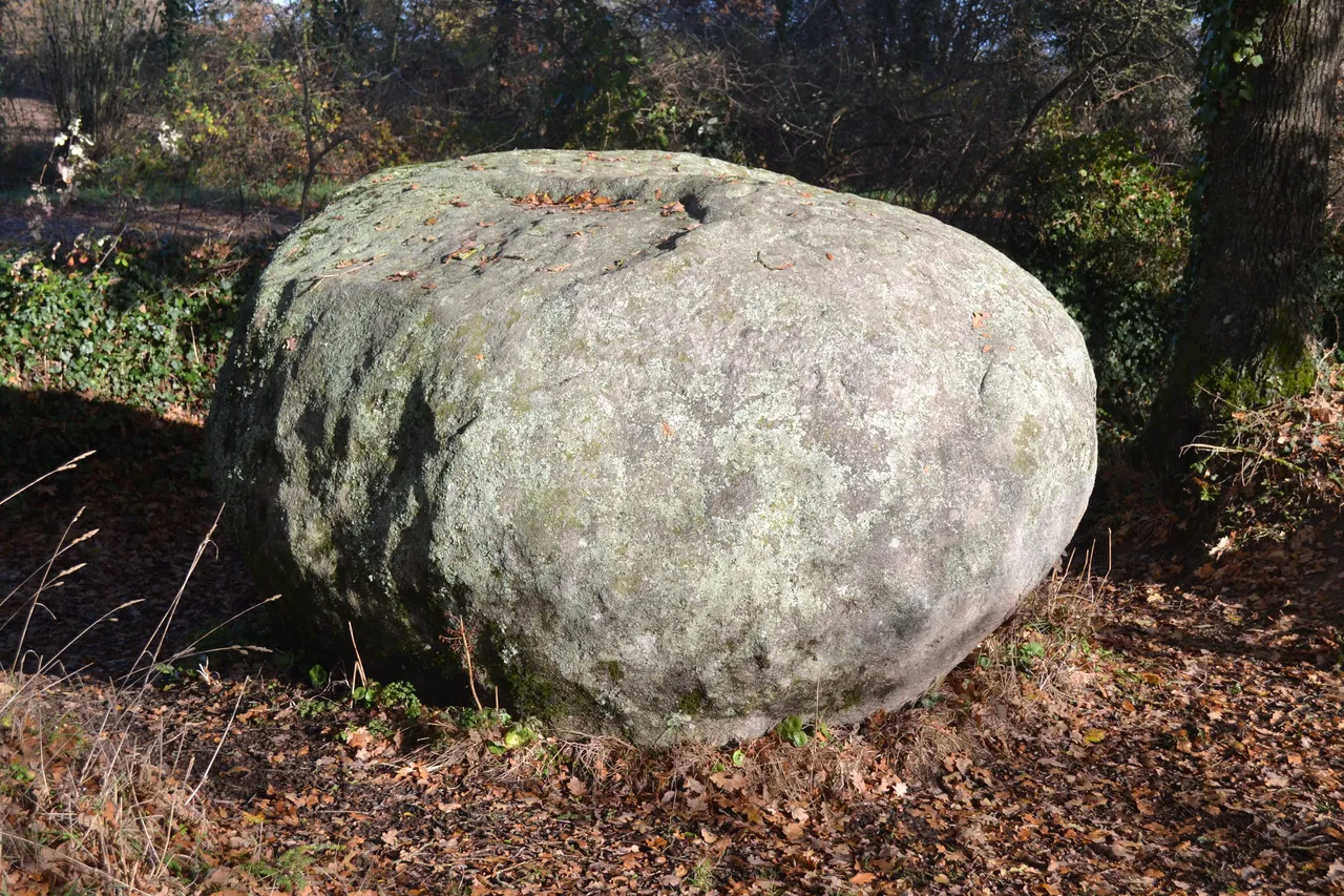 Mégalithe dit La Pierre-des-Farfadets