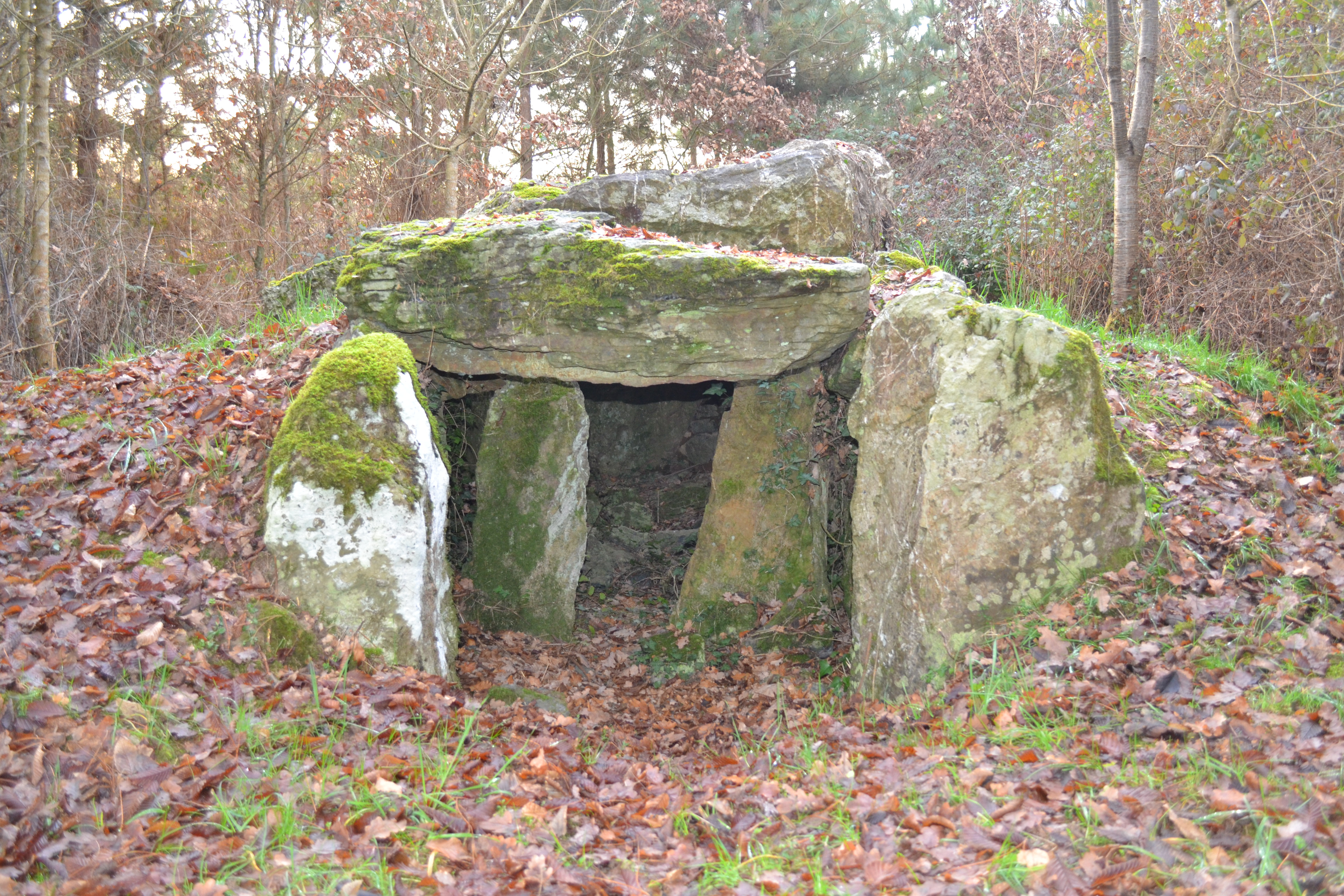 Dolmen de Champtocé-sur-Loire