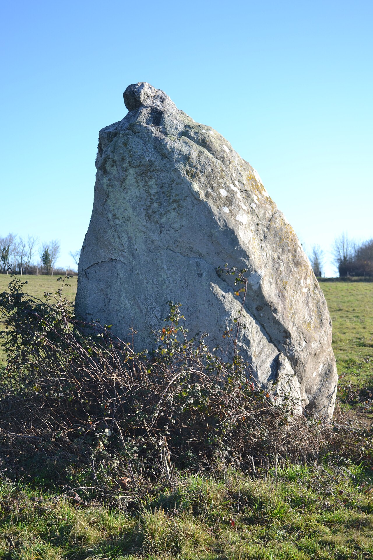 Menhir dit La Pierre au sel