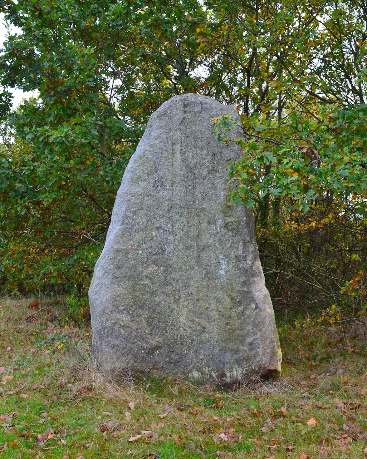 Menhir du Plessis-Gamat