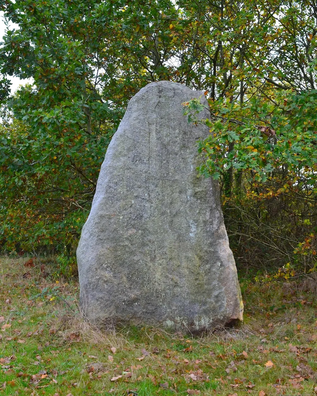 Menhir du Plessis-Gamat