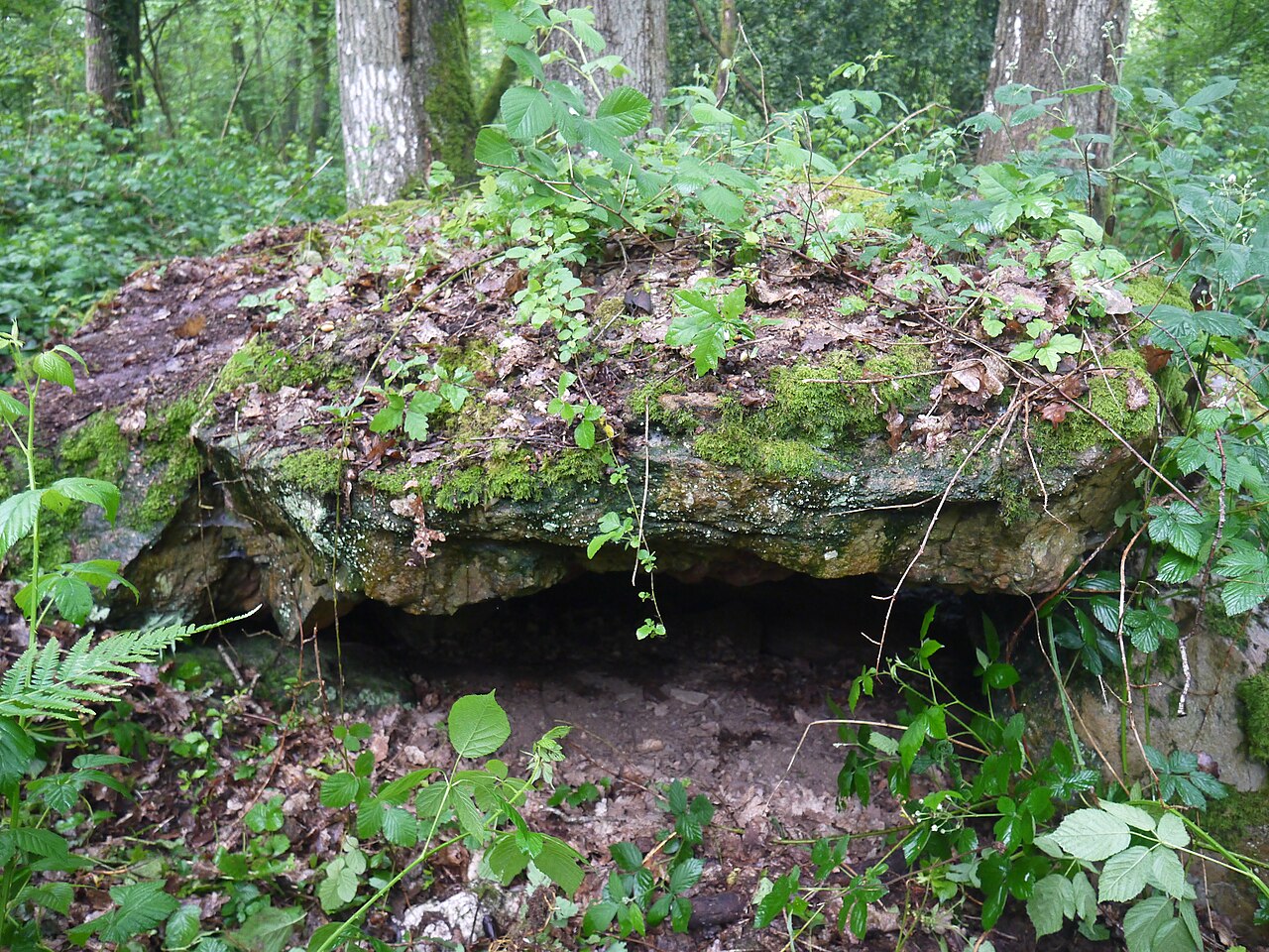 Tombe mégalithique du château de la Ferrière