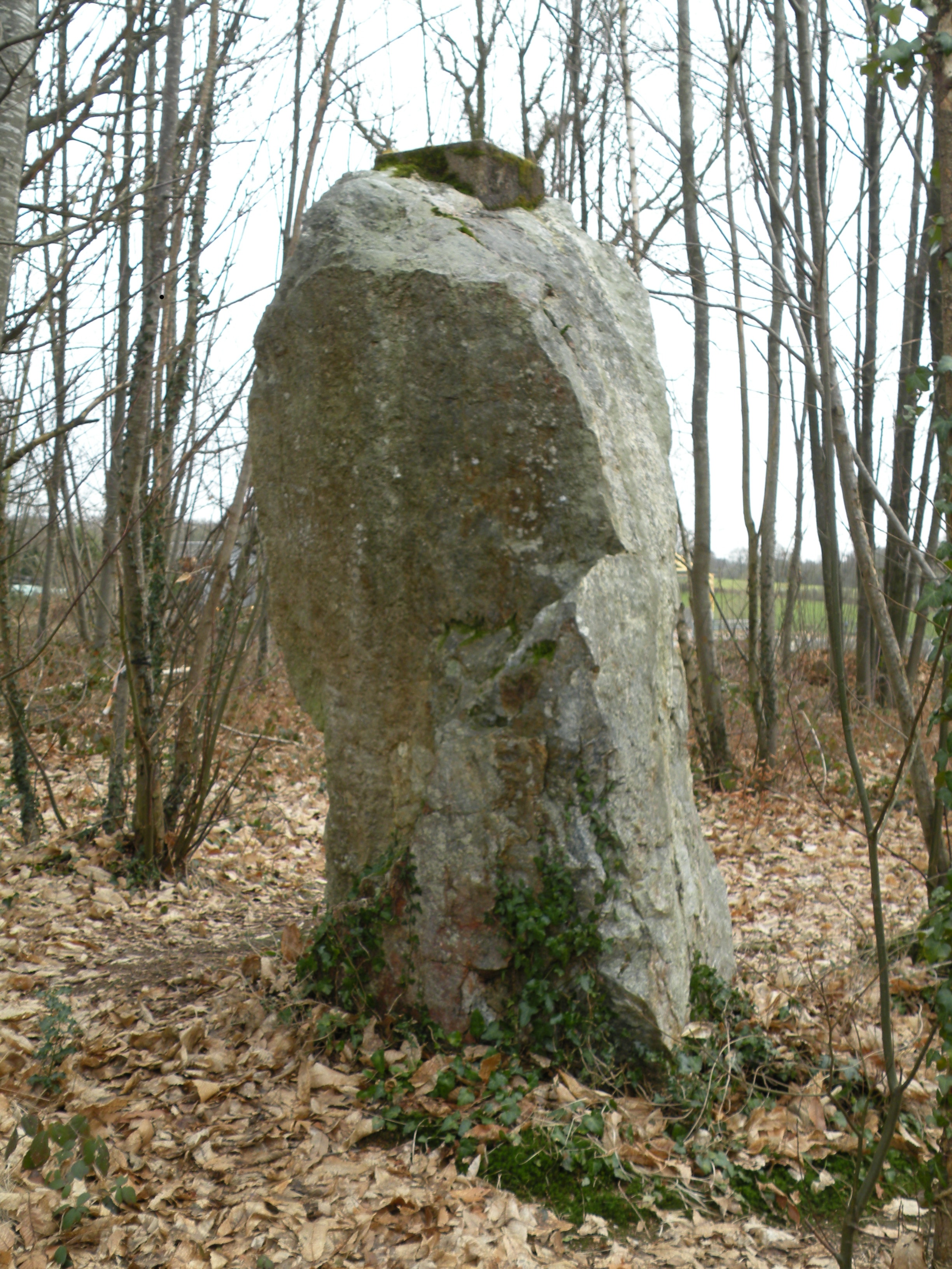 Menhir dit La Pierre qui tourne
