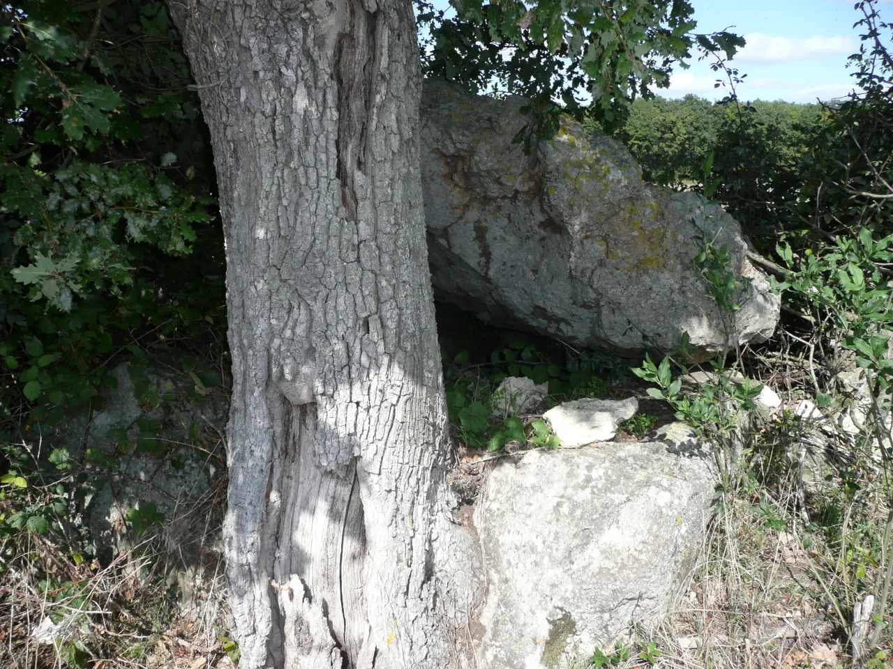 Dolmen de Chantepierre